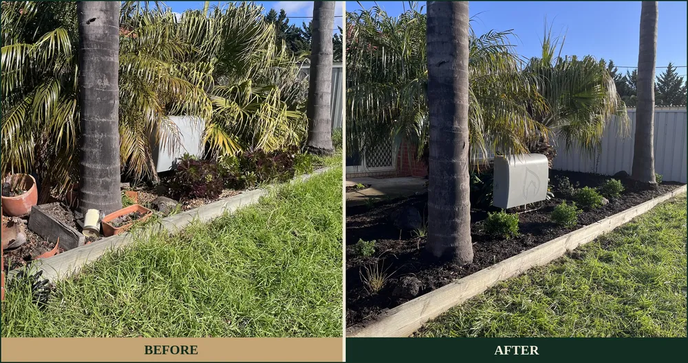 Before and after garden turnaround in Altona — overgrown, cluttered front bed cleared, replanted and mulched by Barnes and Bloom