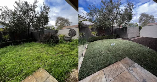 Before and after garden turnaround in inner north-east Melbourne — overgrown beds restored and replanted