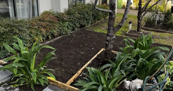 Garden installation in progress at a property in Ivanhoe — new beds being established from the ground up