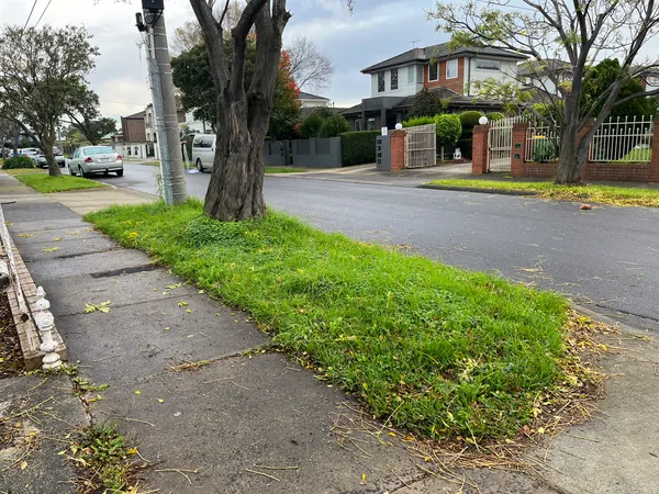 Nature strip before makeover — mowed grass verge
