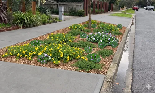 The Urban Groundcover nature strip planting style by Barnes and Bloom