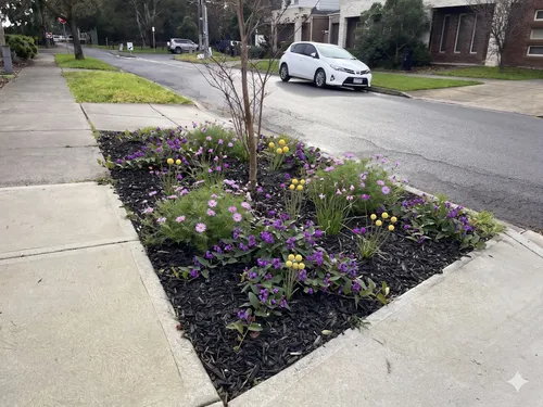 The Pollinator Haven nature strip planting style by Barnes and Bloom